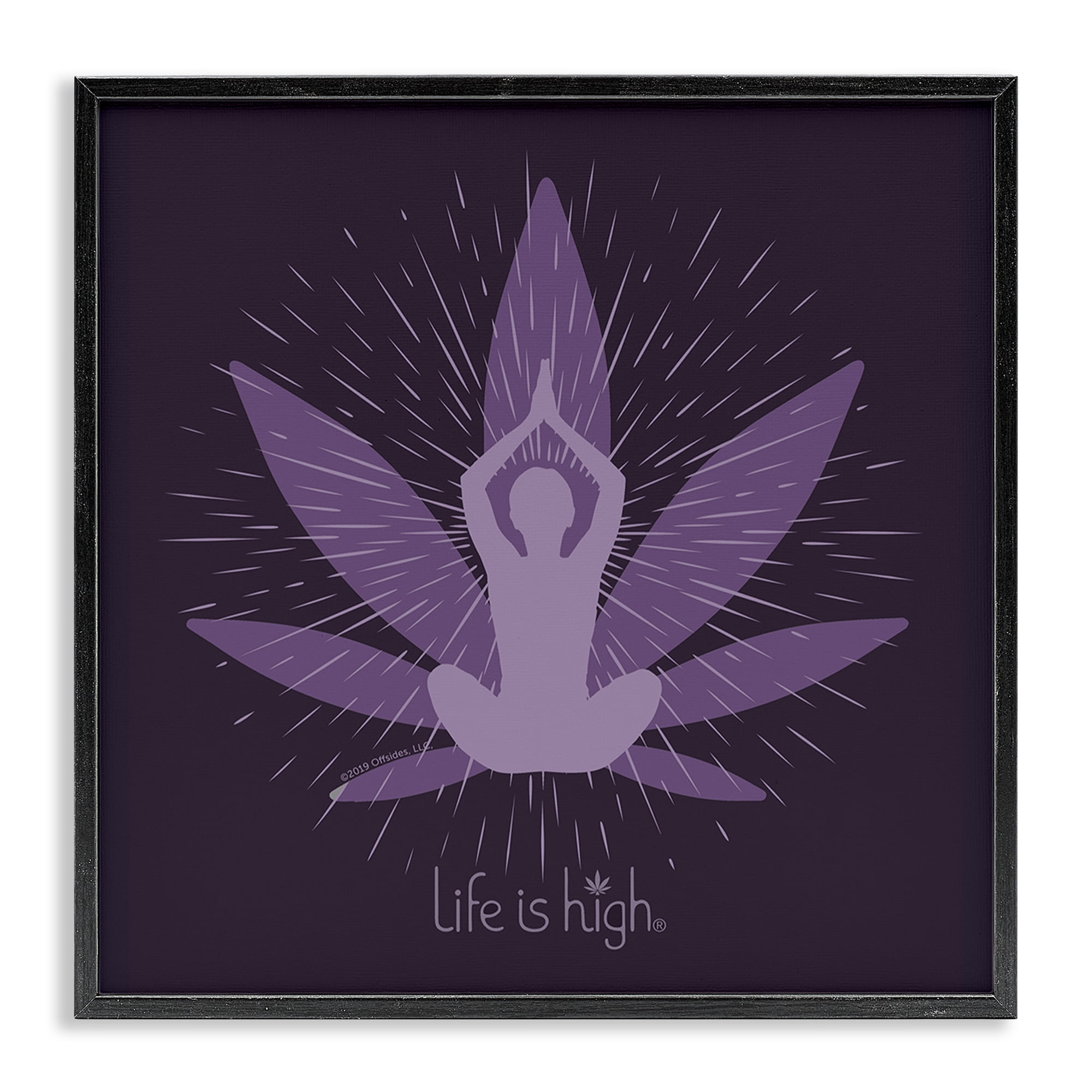 Stupell Industries Meditating Mindful Plant Novelty & Humor Painting Black Framed Art Print Wall Art, 12 x 12