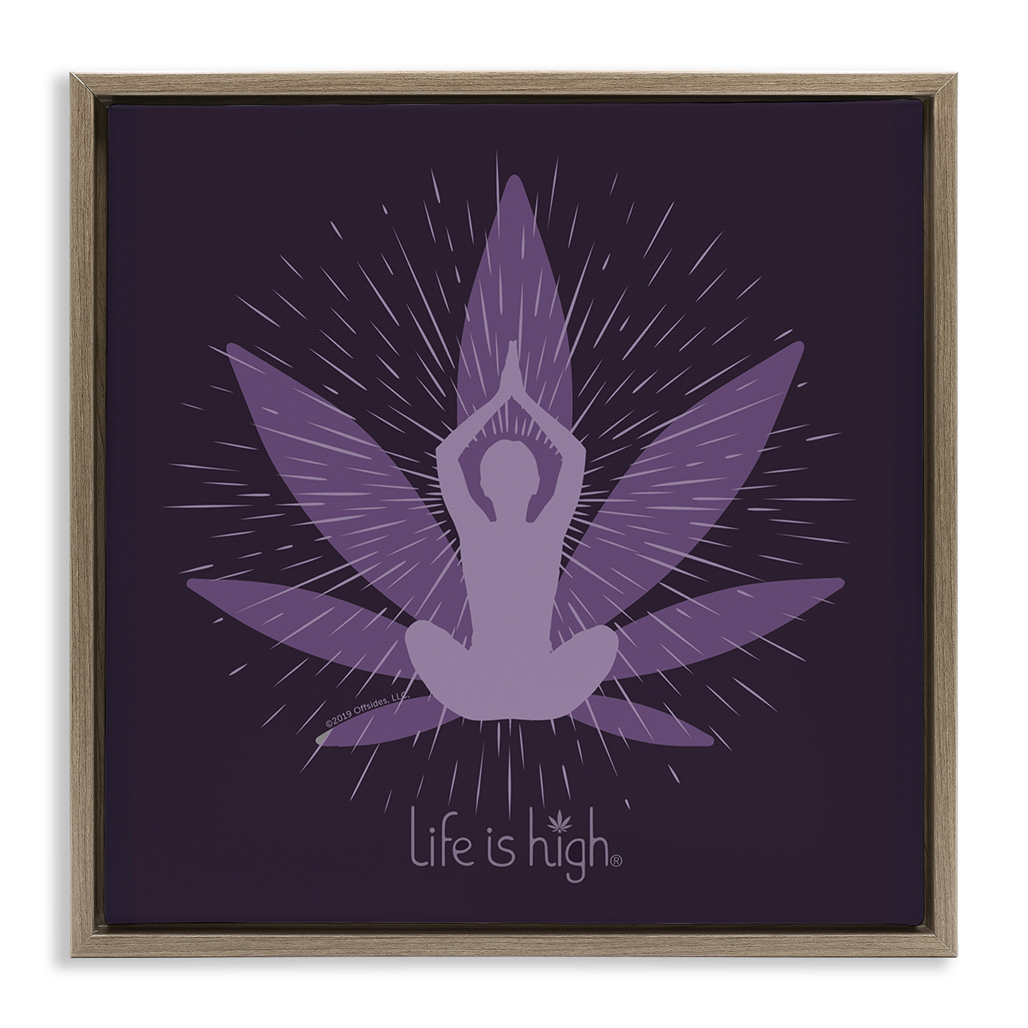 Stupell Industries Meditating Mindful Plant Novelty & Humor Painting Brown Floater Framed Canvas Art Print Wall Art, 18 x 18