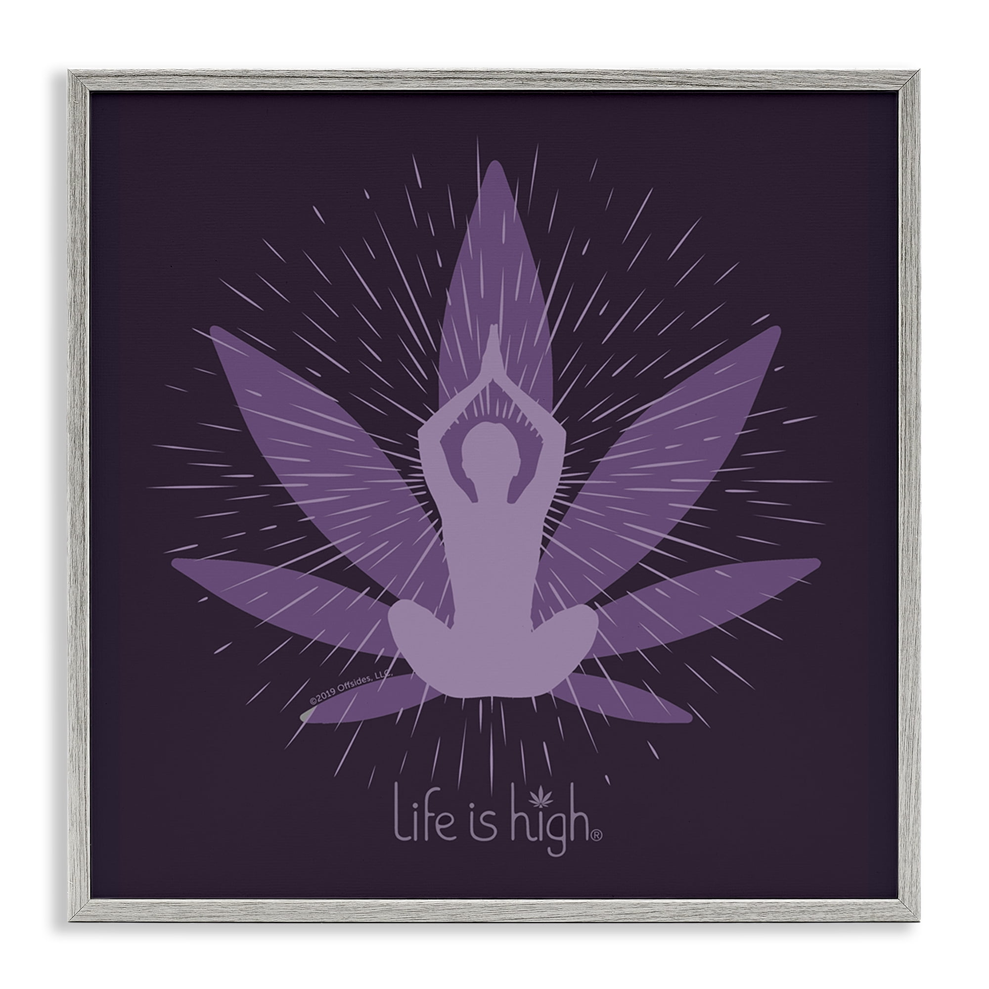 Stupell Industries Meditating Mindful Plant Novelty & Humor Painting Gray Framed Art Print Wall Art, 24 x 24