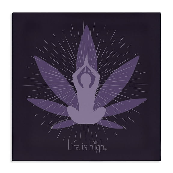 Stupell Industries Meditating Mindful Plant Novelty & Humor Painting Wrapped Canvas Art Print Wall Art, 17 x 17