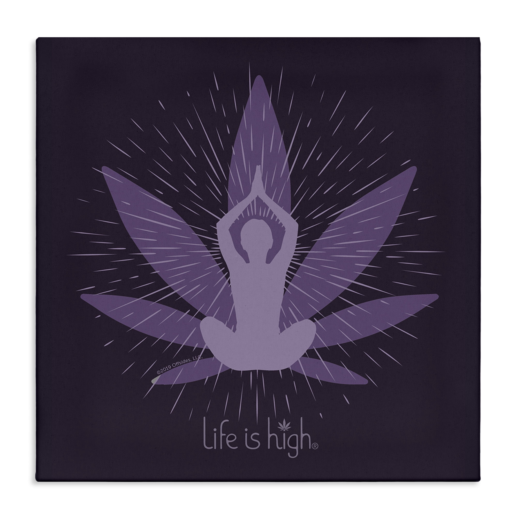 Stupell Industries Meditating Mindful Plant Novelty & Humor Painting Wrapped Canvas Art Print Wall Art, 30 x 30