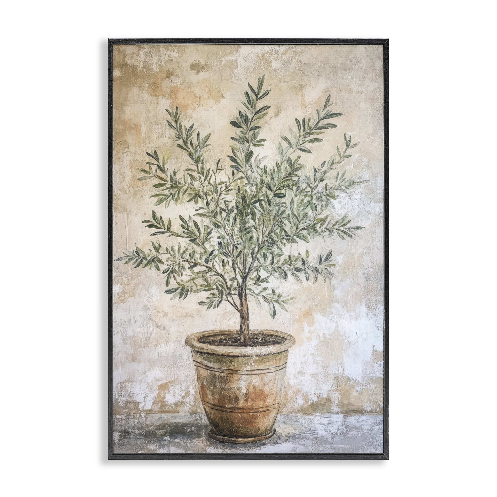 Stupell Industries Mediterranean Potted Olive Black Framed Giclee Art, design by Petal Prints Design