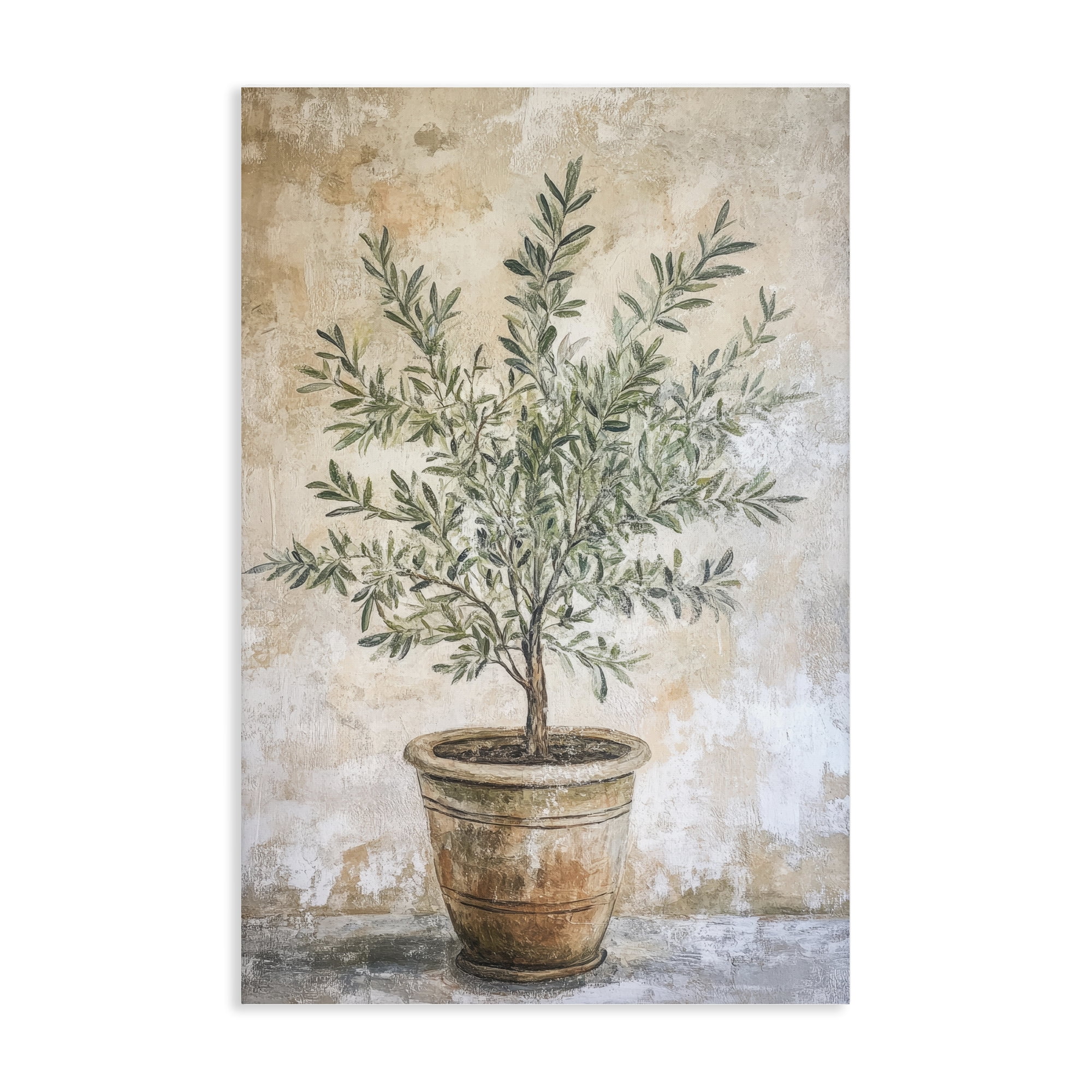 Stupell Industries Mediterranean Potted Olive Canvas Wall Art, design by Petal Prints Design