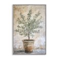 thumbnail image 1 of Stupell Industries Traditional Mediterranean Potted Olive Gray Framed Giclee Art, 16 x 24, by Petals Prints Design, 1 of 8
