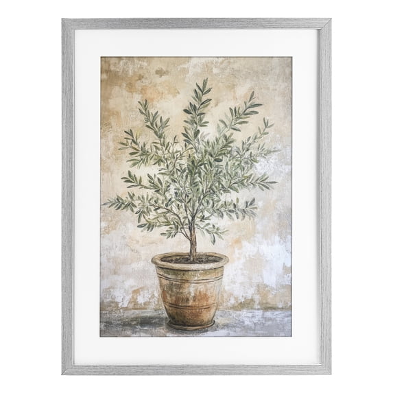Stupell Industries Traditional Mediterranean Potted Olive Gray Framed Print Under Glass, 14 x 20, by Petals Prints Design
