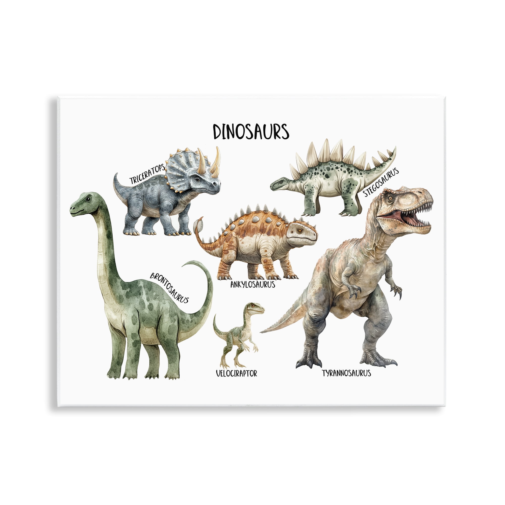 Stupell Industries Meet The Dinosaurs Wall Plaque Art, design by Christine Simpson Art