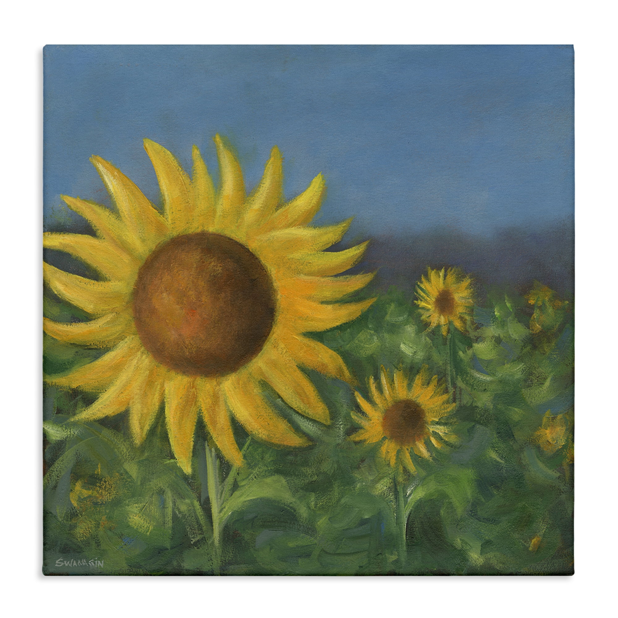 Stupell Industries Mellow Sunflower Garden Botanical & Floral Painting Gallery Wrapped Canvas Art Print Wall Art, 30 x 30