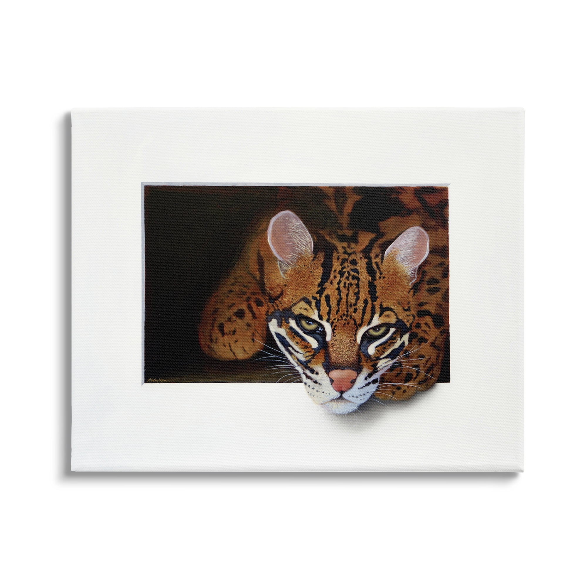Stupell Industries Menacing Cheetah Glaring Jungle Cat Obscure Painting Painting Gallery Wrapped Canvas Print Wall Art, Design by Alan Weston