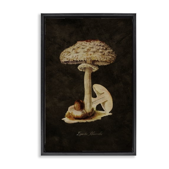 Stupell Industries Mid-Century Black Floating Frame Canvas Art, 17 x 25, by Tina Higgins Designs Inc.
