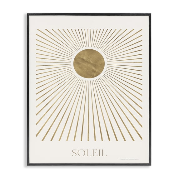 Stupell Industries Mid-Century Black Framed Giclee Art, 16 x 20, by Reinders