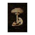 thumbnail image 1 of Stupell Industries Mid-Century Canvas Art, 16 x 24, by Tina Higgins Designs Inc., 1 of 8