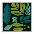 thumbnail image 1 of Stupell Industries Mid-Century Plant Toss Collage Gray Framed Giclee Art, 24 x 24, by Cheryl Warrick, 1 of 8