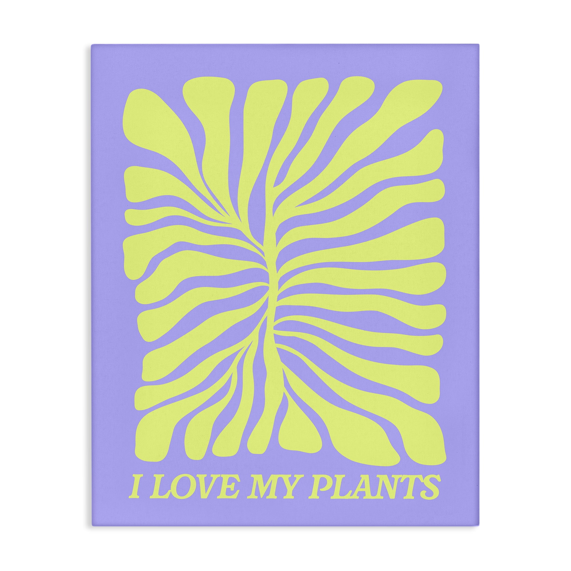 Stupell Industries Midcentury Love My Plants Plants & Flowers Painting Wrapped Canvas Art Print Wall Art, 16 x 20