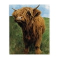 thumbnail image 1 of Stupell Industries Farmhouse Mini Highland Cow Calf Canvas Art, 16 x 20, by Renel Peters, 1 of 8