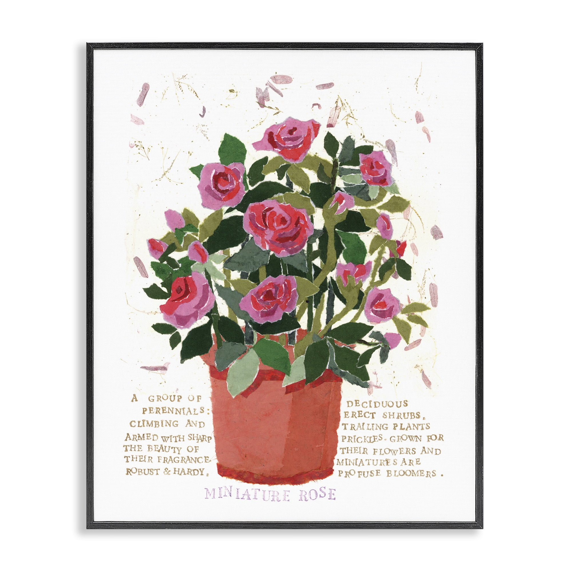 Stupell Industries Mini Roses Bouquet Botanical & Floral Painting Black Framed Art Print Wall Art, 16 x 20