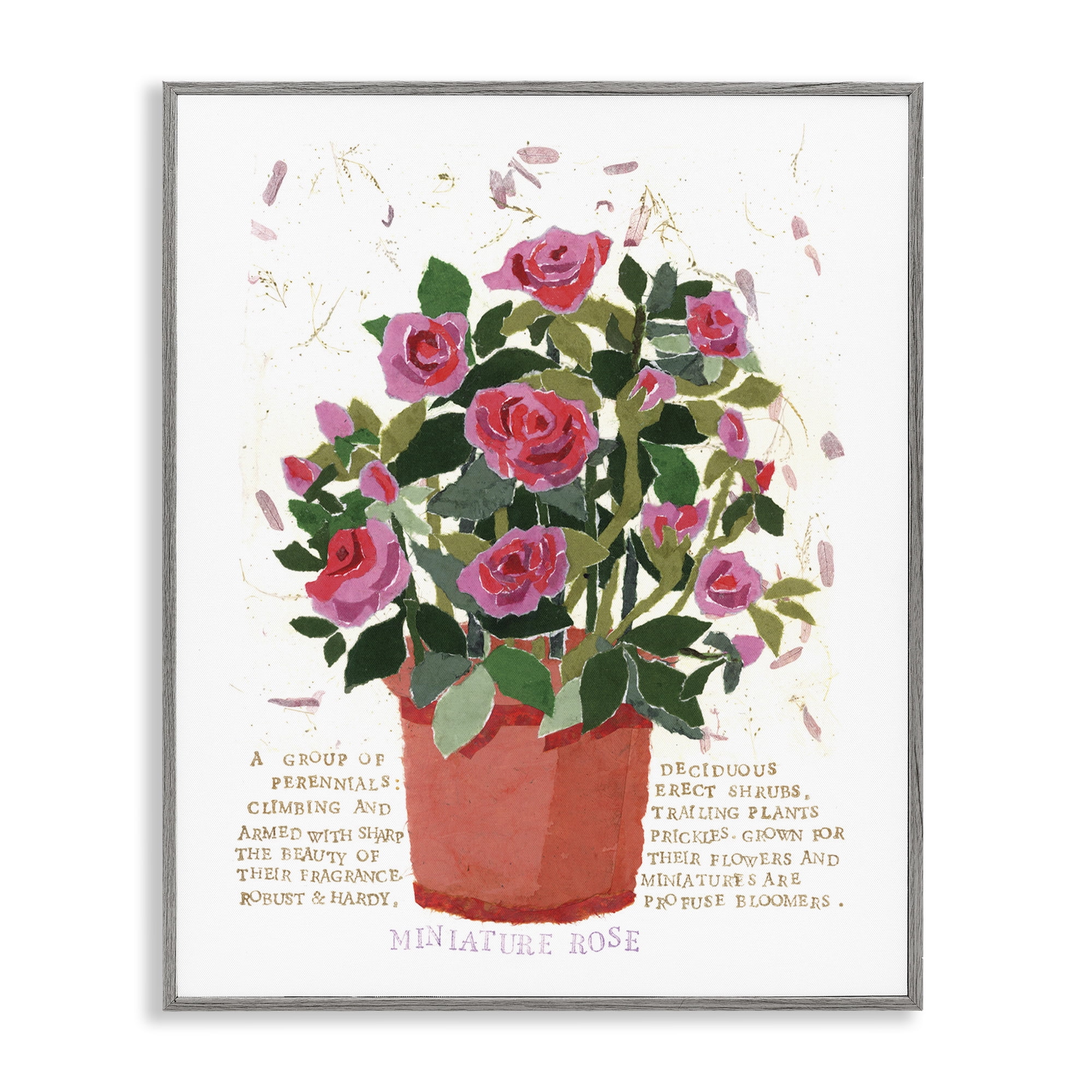 Stupell Industries Mini Roses Bouquet Botanical & Floral Painting Gray Framed Art Print Wall Art, 11 x 14