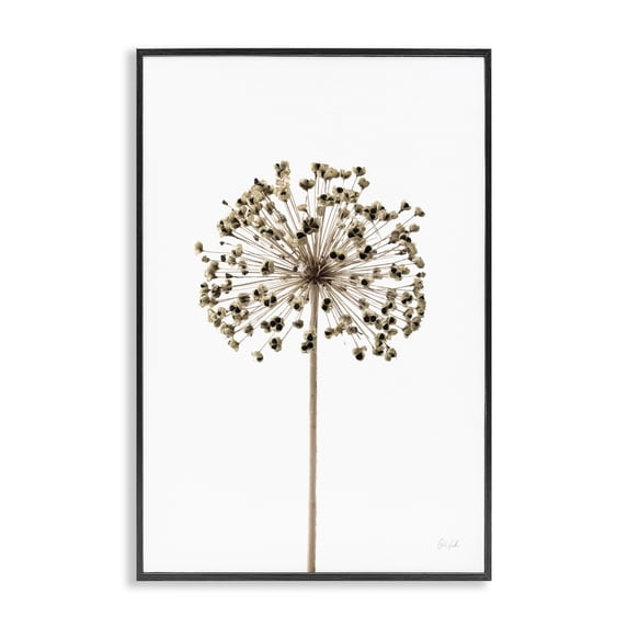 Stupell Industries Minimal Allium Bud Plants & Flowers Painting Black Framed Art Print Wall Art, 12 x 18