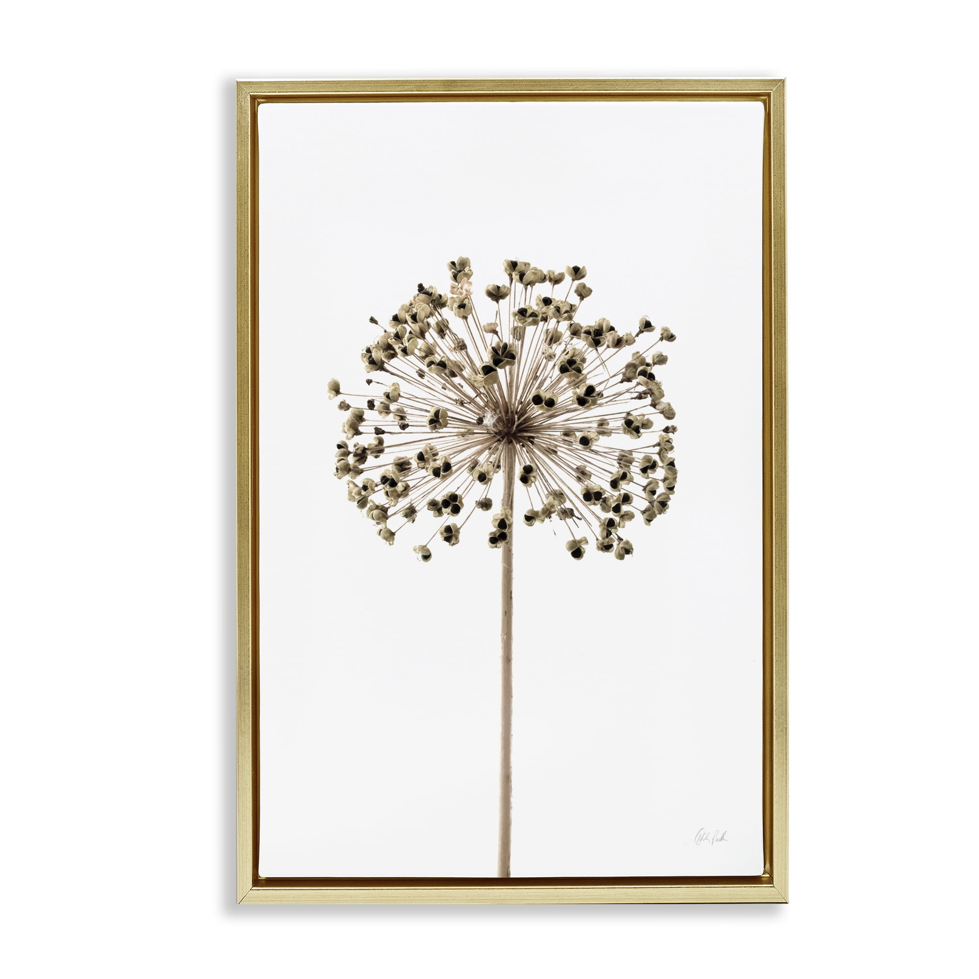 Stupell Industries Minimal Allium Bud Plants & Flowers Painting Gold Floater Framed Canvas Art Print Wall Art, 17 x 25
