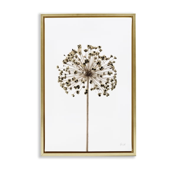 Stupell Industries Minimal Allium Bud Plants & Flowers Painting Gold Floater Framed Canvas Art Print Wall Art, 21 x 31