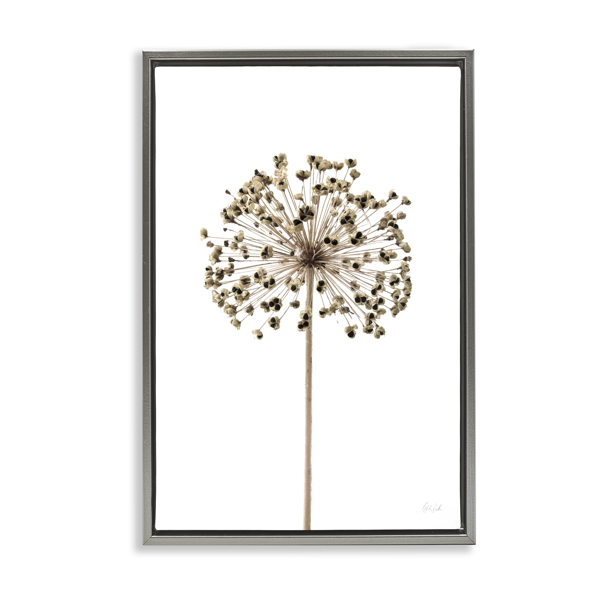 Stupell Industries Minimal Allium Bud Plants & Flowers Painting Gray Floater Framed Canvas Art Print Wall Art, 21 x 31