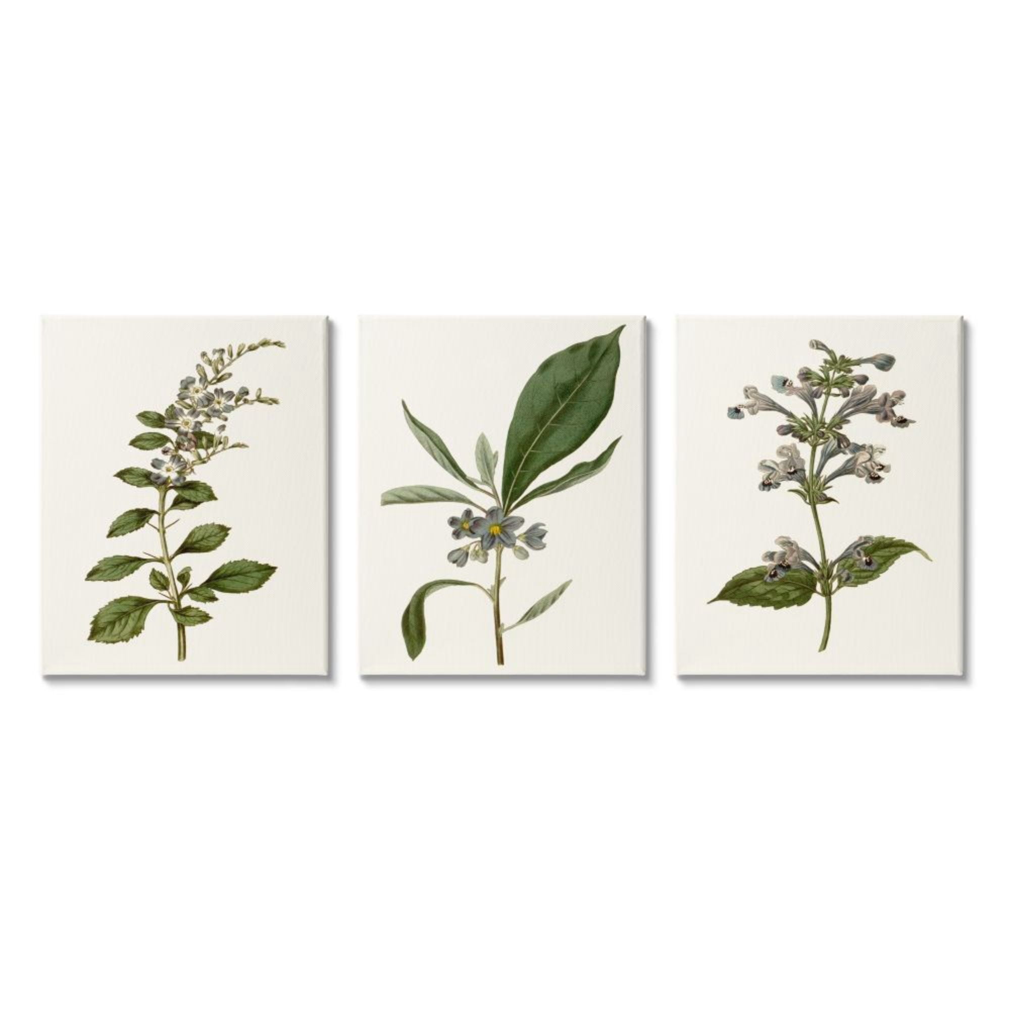 Stupell Industries Minimal Blue Botanical Study Over Neutral Beige Design by Curtis, 3 Piece, 16" x 20"