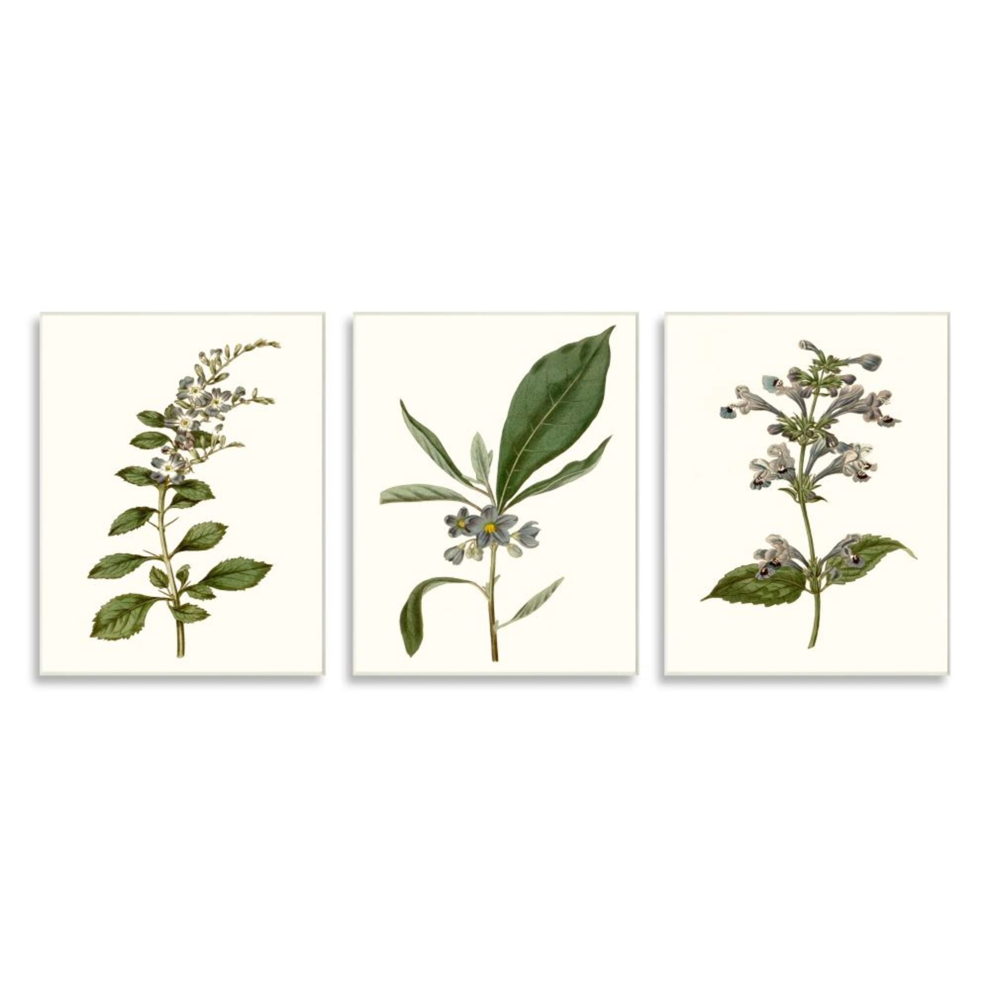 Stupell Industries Minimal Blue Botanical Study Over Neutral Beige Design by Curtis