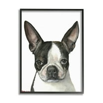 Stupell Industries Minimal Boston Terrier Portrait Pet Dog Black White Animals & Insects Painting Black Framed Art Print Wall Art, 11 x 14