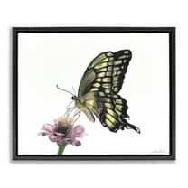 Stupell Industries Minimal Butterfly & Flower Animals & Insects Painting Black Floater Framed Canvas Art Print Wall Art, 21 x 17