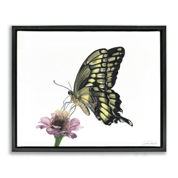 Stupell Industries Minimal Butterfly & Flower Animals & Insects Painting Black Floater Framed Canvas Art Print Wall Art, 21 x 17
