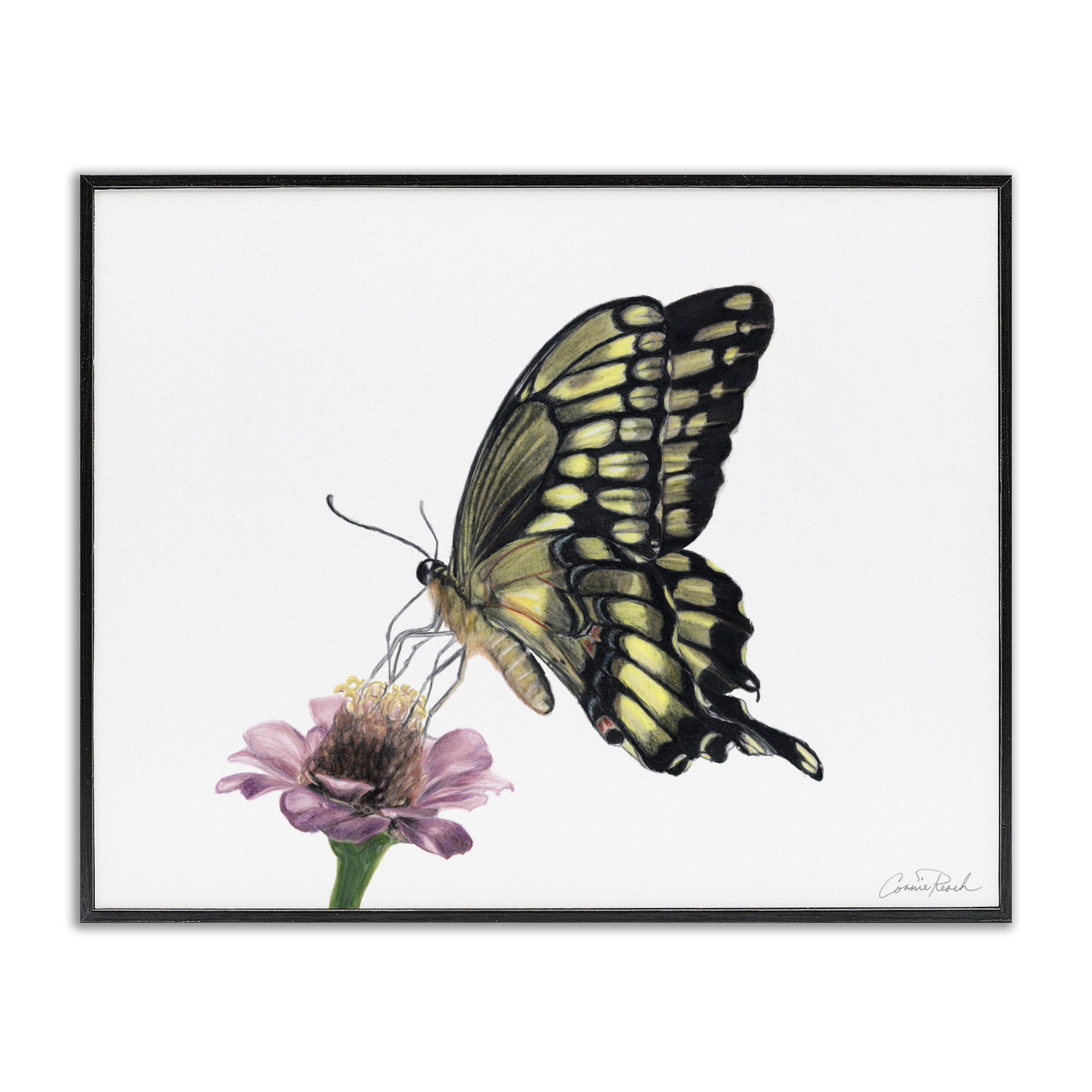 Stupell Industries Minimal Butterfly & Flower Animals & Insects Painting Black Framed Art Print Wall Art, 20 x 16