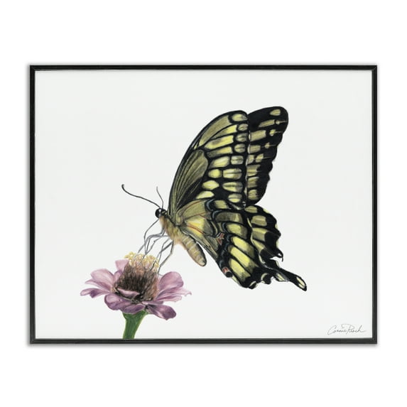 Stupell Industries Minimal Butterfly & Flower Animals & Insects Painting Black Framed Art Print Wall Art, 30 x 24