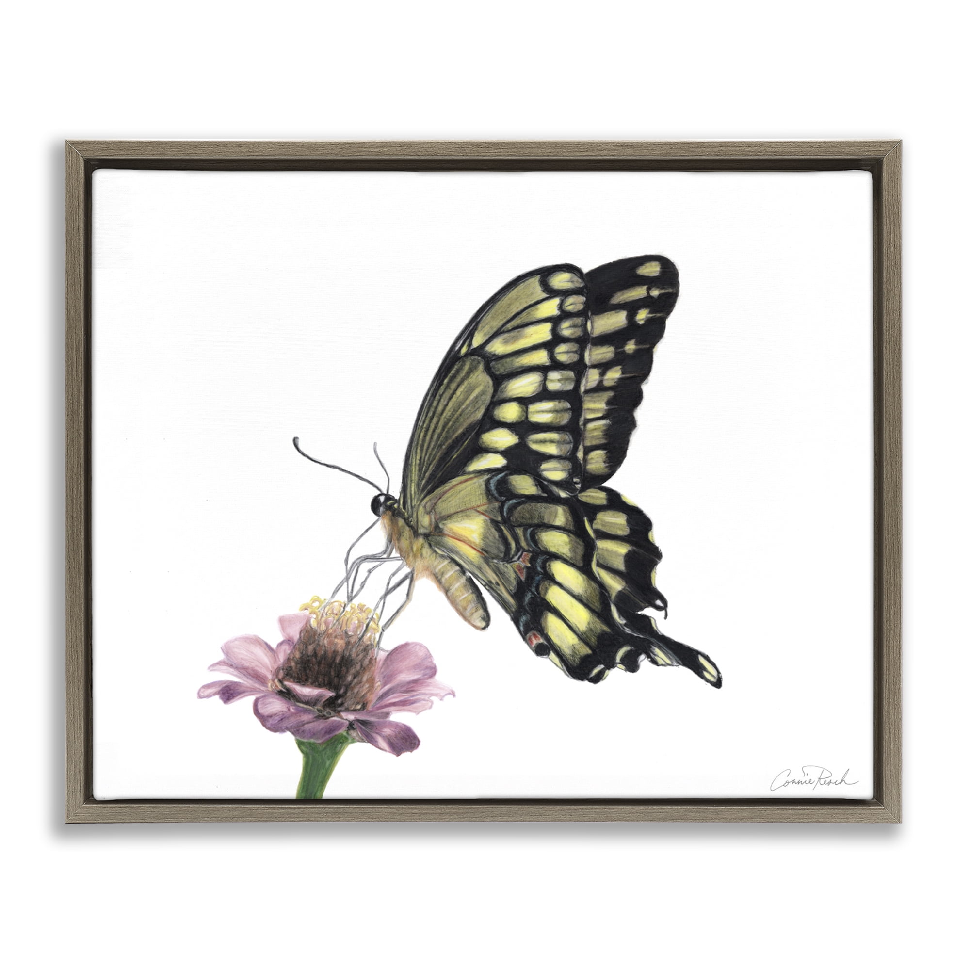 Stupell Industries Minimal Butterfly & Flower Animals & Insects Painting Brown Floater Framed Canvas Art Print Wall Art, 31 x 25