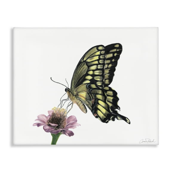 Stupell Industries Minimal Butterfly & Flower Animals & Insects Painting Gallery Wrapped Canvas Art Print Wall Art, 20 x 16