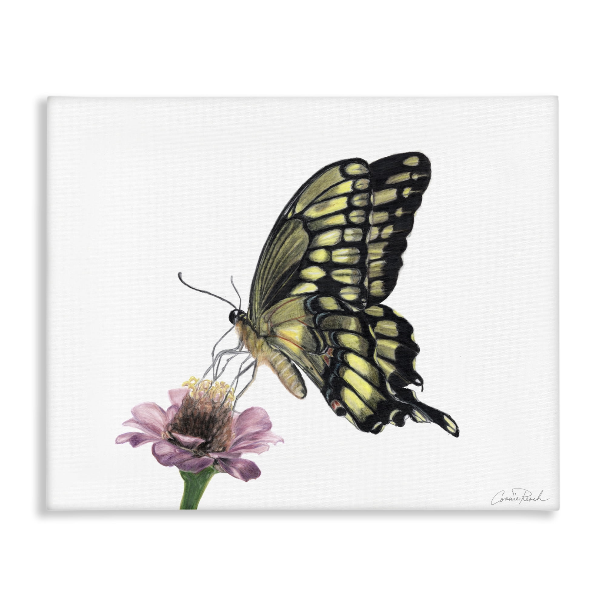 Stupell Industries Minimal Butterfly & Flower Animals & Insects Painting Gallery Wrapped Canvas Art Print Wall Art, 40 x 30