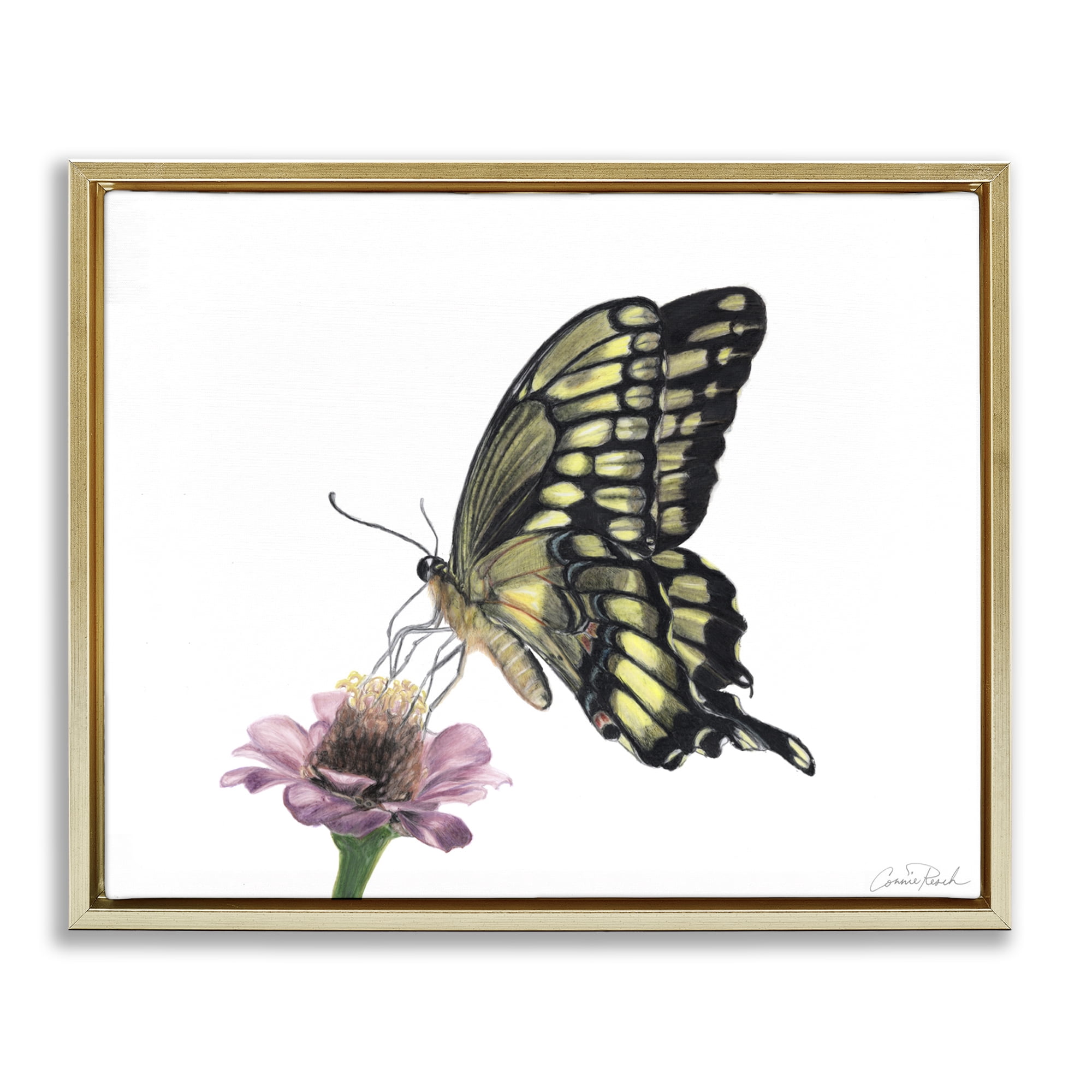 Stupell Industries Minimal Butterfly & Flower Animals & Insects Painting Gold Floater Framed Canvas Art Print Wall Art, 31 x 25