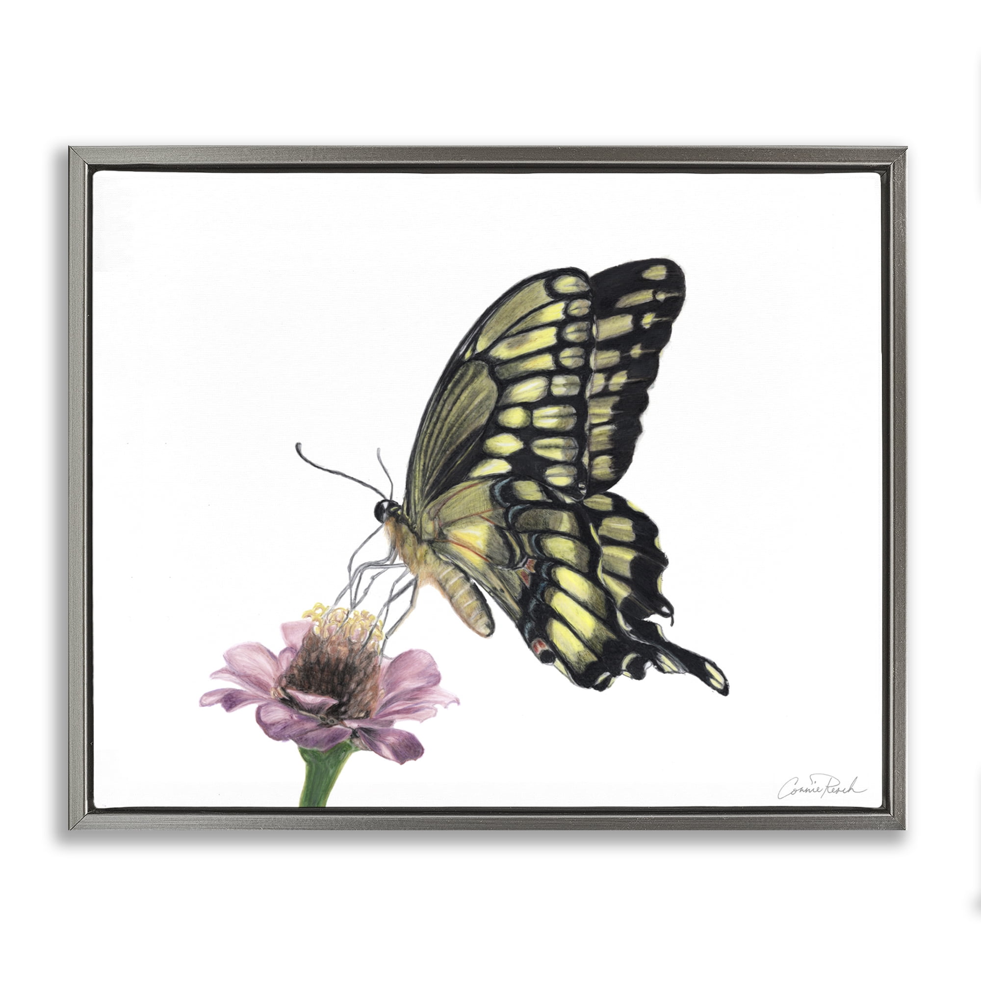 Stupell Industries Minimal Butterfly & Flower Animals & Insects Painting Gray Floater Framed Canvas Art Print Wall Art, 31 x 25