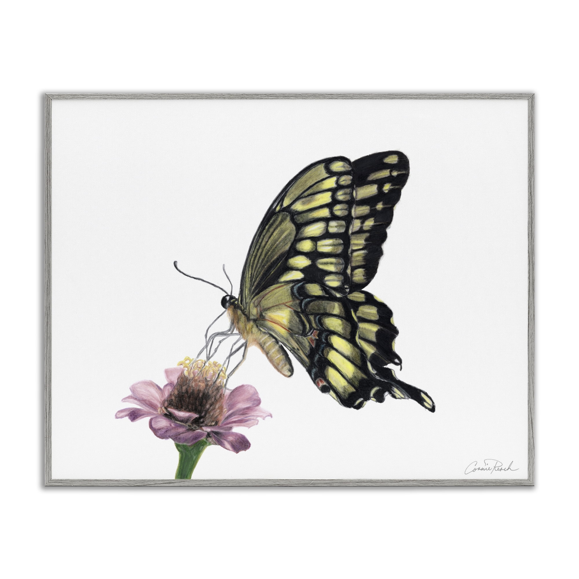 Stupell Industries Minimal Butterfly & Flower Animals & Insects Painting Gray Framed Art Print Wall Art, 14 x 11