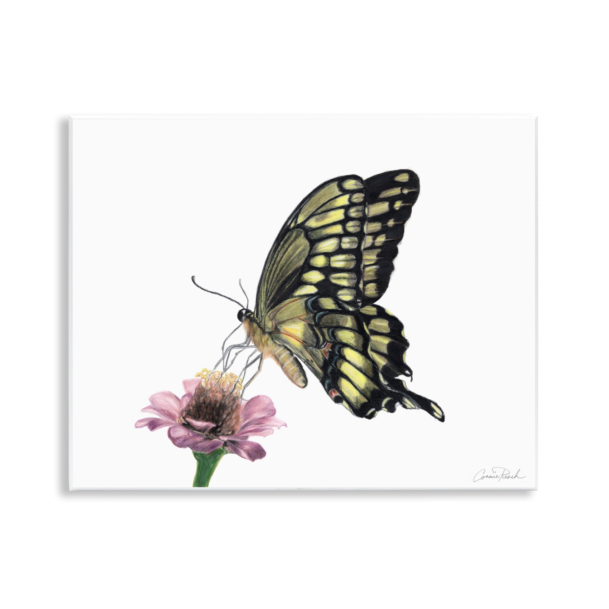 Stupell Industries Minimal Butterfly & Flower Animals & Insects Painting Unframed Art Print Wall Art, 14 x 11