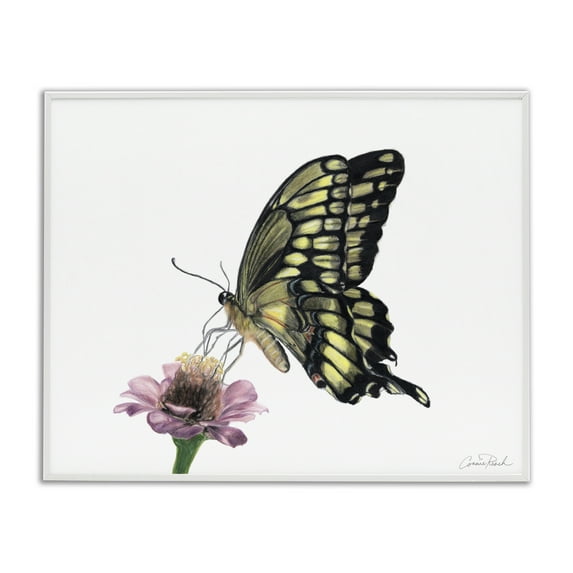 Stupell Industries Minimal Butterfly & Flower Animals & Insects Painting White Framed Art Print Wall Art, 30 x 24