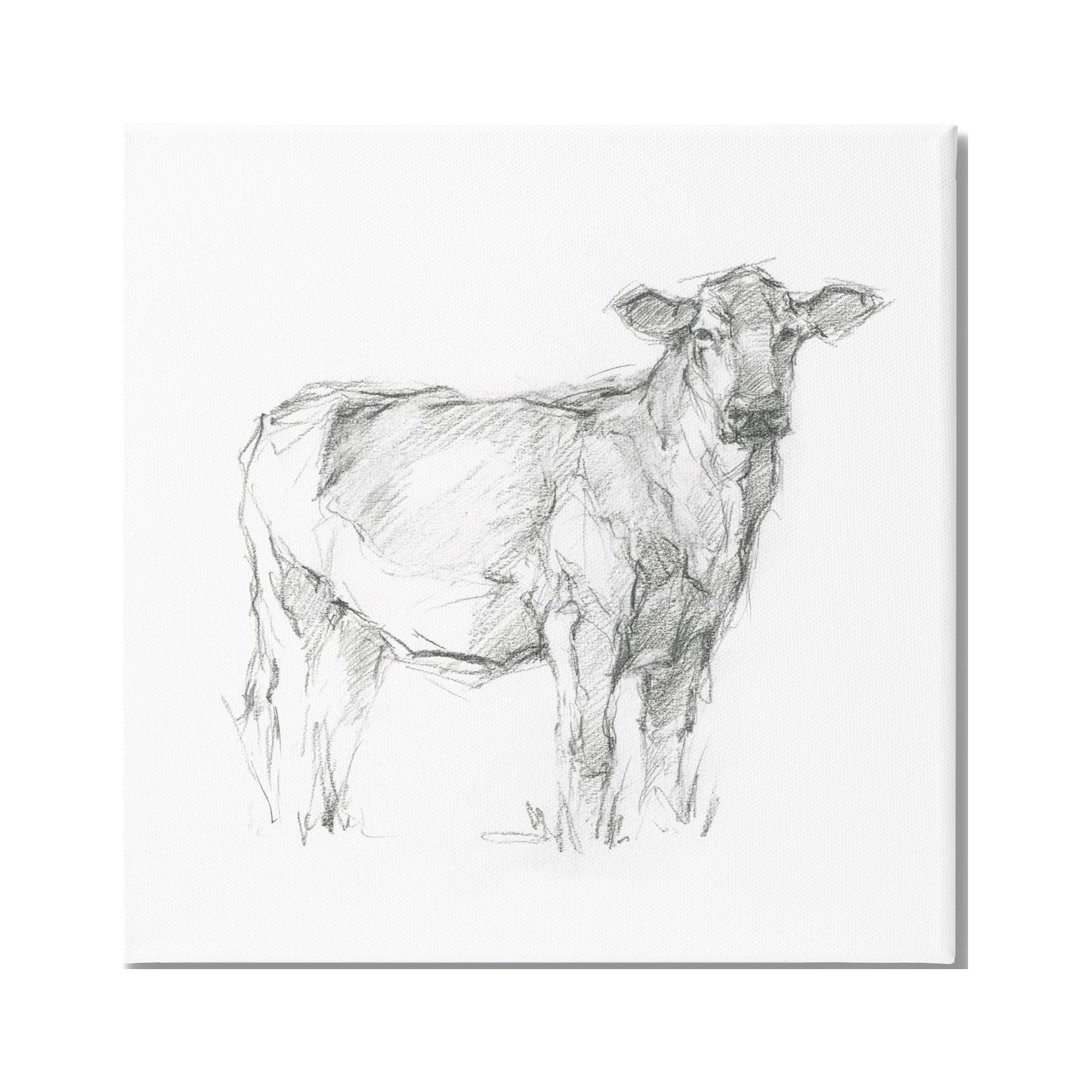 Stupell Industries Minimal Cattle Sketch Animals & Insects Drawing Gallery Wrapped Canvas Print Wall Art, 17 x 17