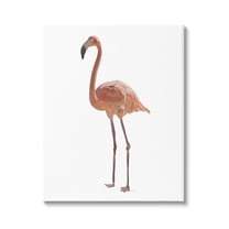Stupell Industries Minimal Flamingo Bird Animals & Insects Painting Gallery Wrapped Canvas Print Wall Art