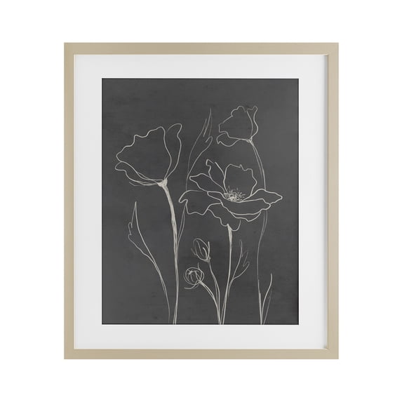 Stupell Industries Minimal Gray Poppies Birch Framed Print Under Glass design by Elizabeth Medley, 21 x 17
