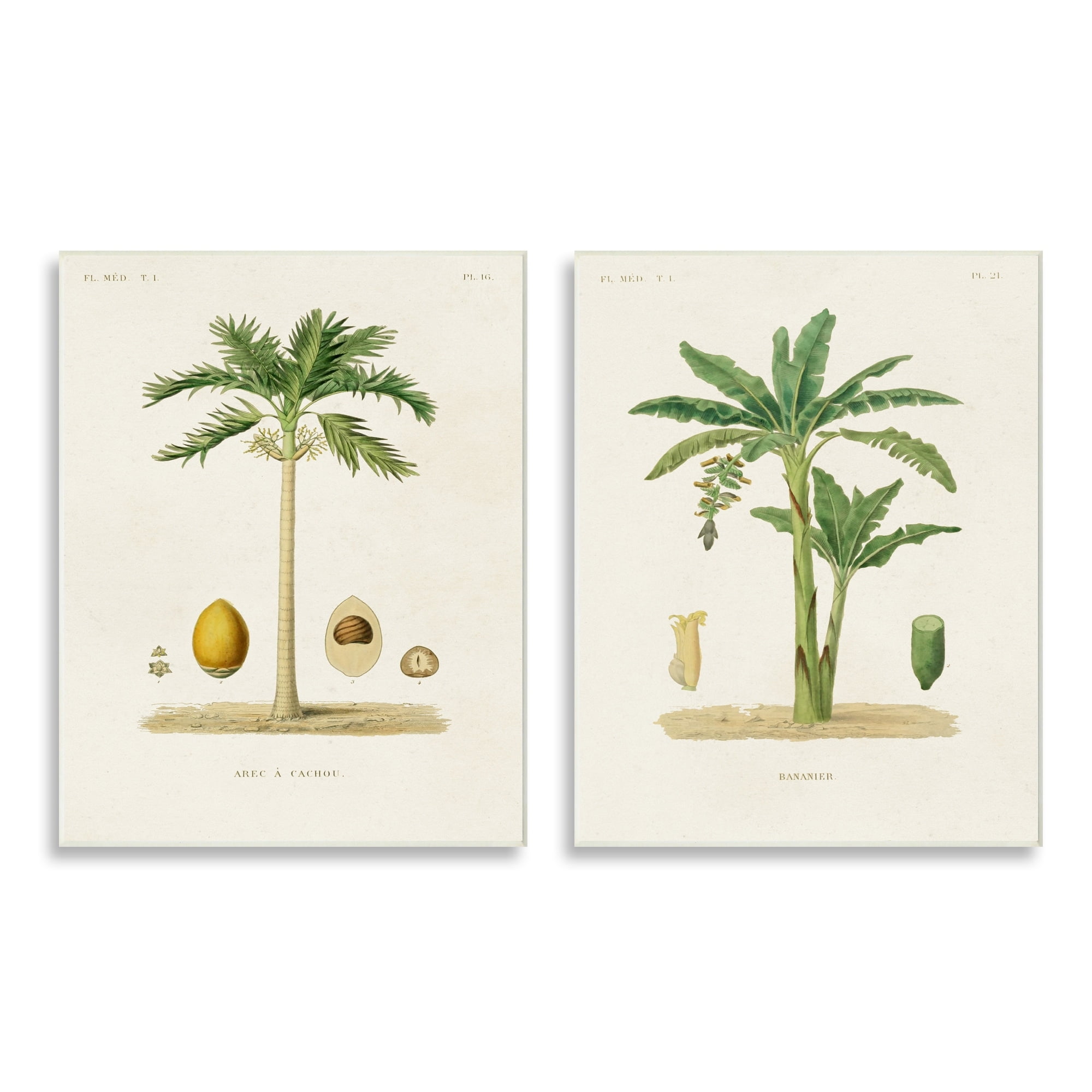 Stupell Industries Minimal Green Palm tree Coconuts Diagram Illustration Drawings Unframed Art Print Wall Art Set of 2, 10x15, by World Art Group