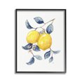 thumbnail image 1 of Stupell Industries Minimal Lemon Fruits Food & Beverage Painting Black Framed Art Print Wall Art, 24 x 30, 1 of 9