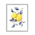 thumbnail image 1 of Stupell Industries Minimal Lemon Fruits Food & Beverage Painting Gray Framed Art Print Wall Art, 11 x 14, 1 of 9