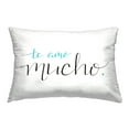 thumbnail image 1 of Stupell Industries Minimal Loving Spanish Decorative Printed Throw Pillow Design by SD Graphics Studio., 1 of 6