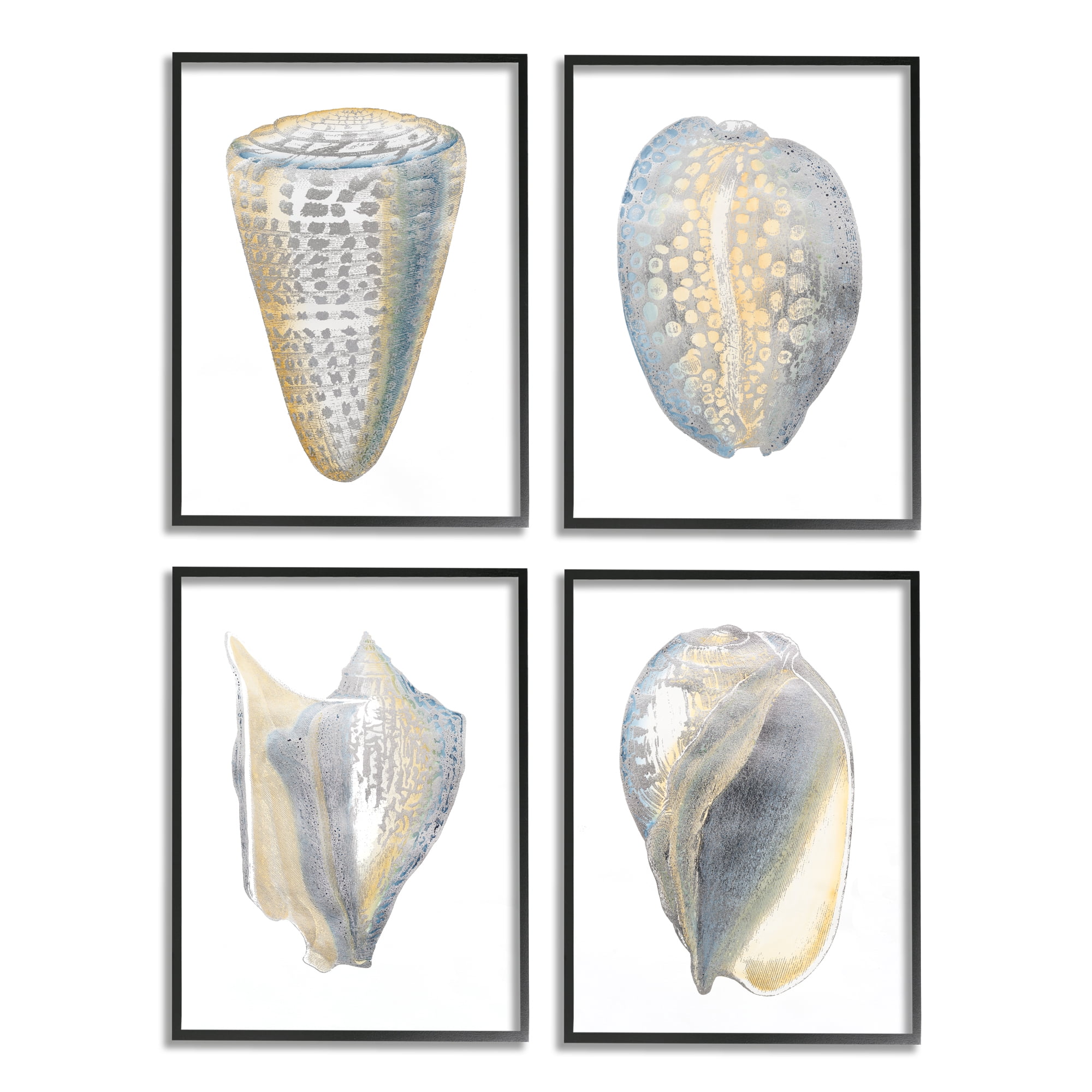 Stupell Industries Minimal Marine Shells Unique Blue Gold Pattern Black Framed by Vision Studio