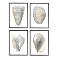 thumbnail image 1 of Stupell Industries Minimal Marine Shells Unique Blue Gold Pattern Black Framed by Vision Studio, 1 of 7
