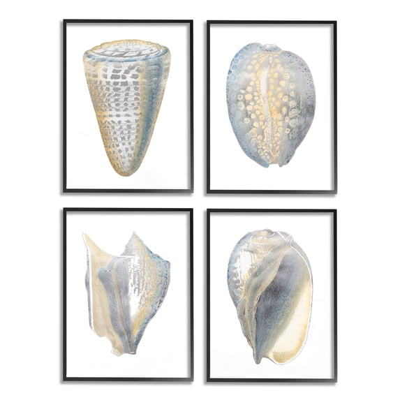 Stupell Industries Minimal Marine Shells Unique Blue Gold Pattern Black Framed by Vision Studio