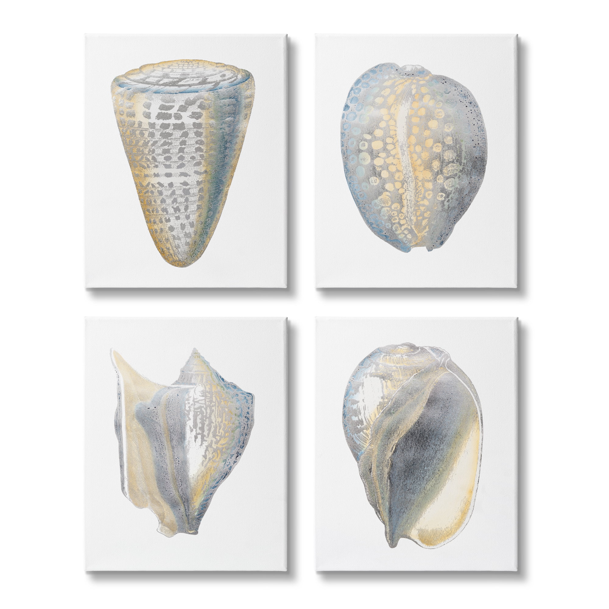 Stupell Industries Minimal Marine Shells Unique Blue Gold Pattern ...